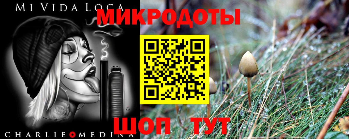 Псилоцибиновые грибы ЛСД Электрогорск